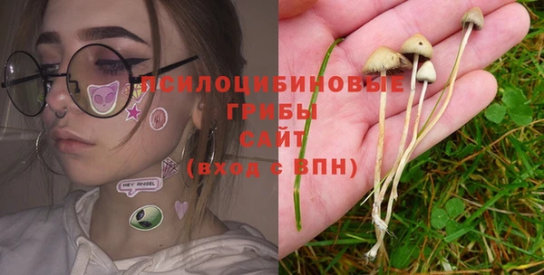 не бодяженный Арсеньев
