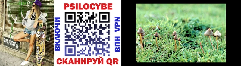 Псилоцибиновые грибы MAGIC MUSHROOMS  закладка  Аркадак 